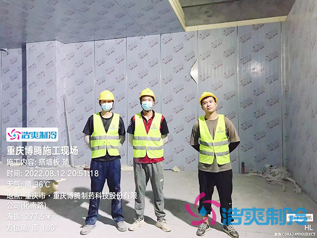 重庆博腾制药科技股份有限公司444立方米超低温医药冷库建造工程